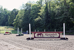 Jump Course for Horses