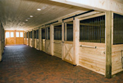 Indoor Stalls at a Horse Farm