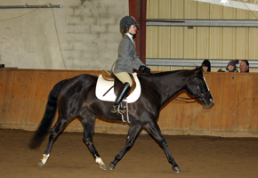 Riding Lessons for Individuals