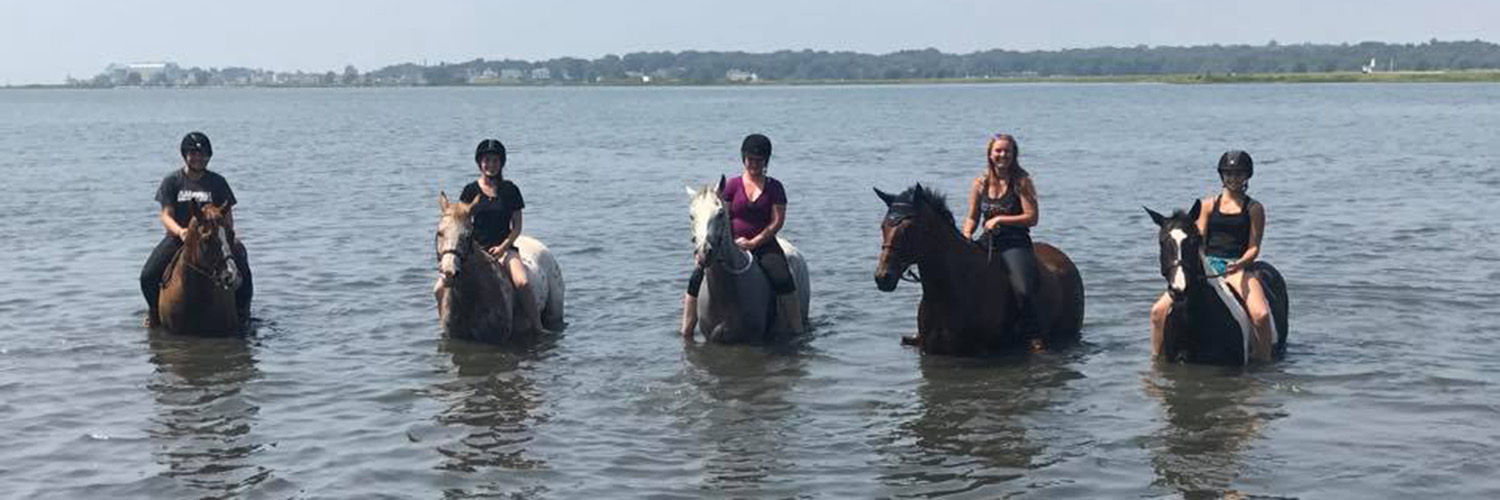 Several Women Riding Horses in the Ocean