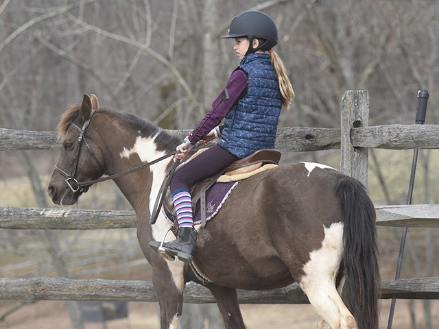 horses-for-lease-3